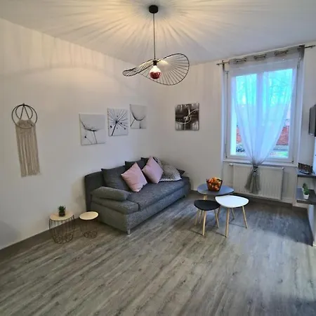 Bliss Insolite Jacuzzi Parking Free 5min Du Centre Mulhouse