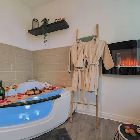 Bliss Insolite Jacuzzi Parking Free 5min Du Centre * Mulhouse