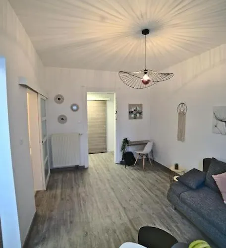 Bliss Insolite Jacuzzi Parking Free 5min Du Centre * Miluza